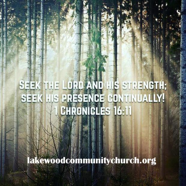 12508756_770569373049105_5806224830945935554_n