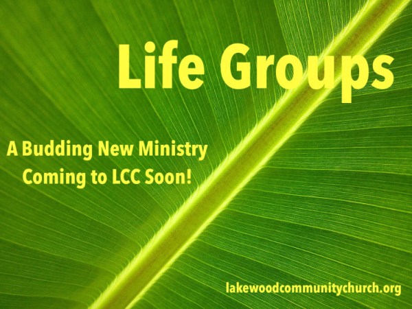 banana-tree-50020_1920