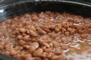 pinto-beans-356622_1920
